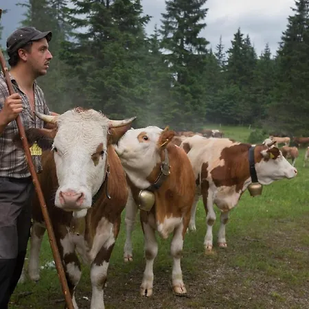 Apartmán Braun Mittenwald