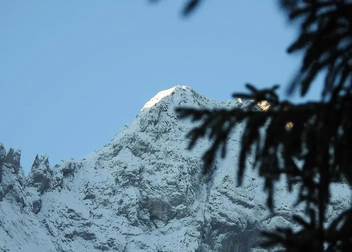 Braun Appartement Mittenwald