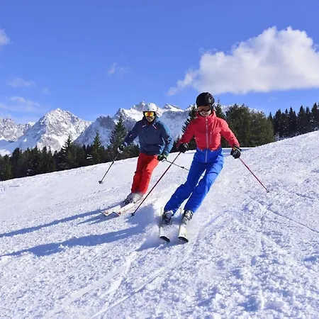Braun Apartment Mittenwald